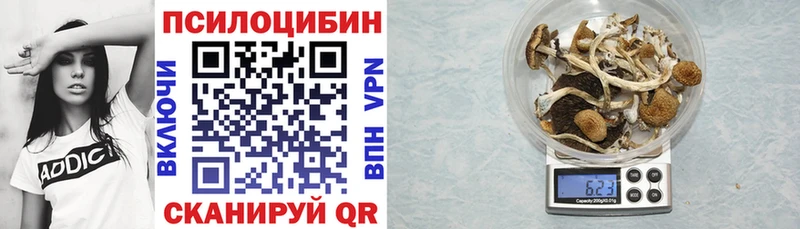 Купить  Городище  Галлюциногенные грибы Magic Shrooms 